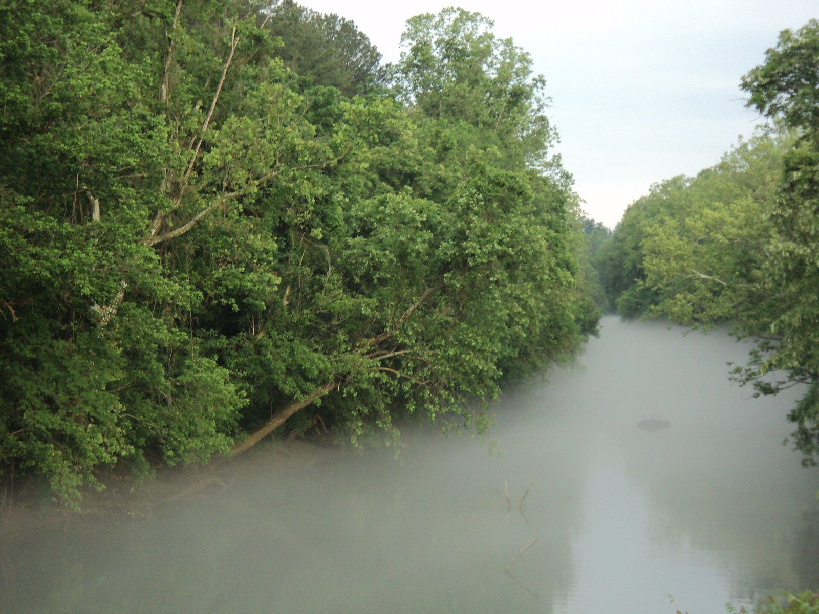Smith River in fog Henry County Virginia